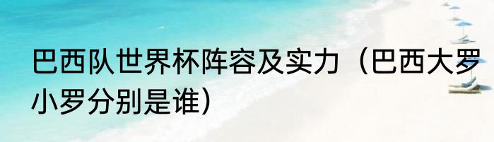 巴西队世界杯阵容及实力（巴西大罗小罗分别是谁）
