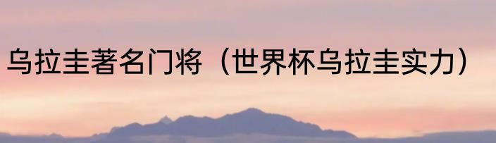 乌拉圭著名门将（世界杯乌拉圭实力）