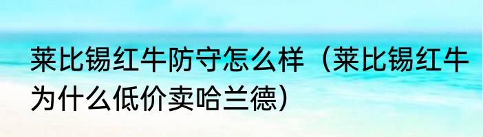 莱比锡红牛防守怎么样（莱比锡红牛为什么低价卖哈兰德）