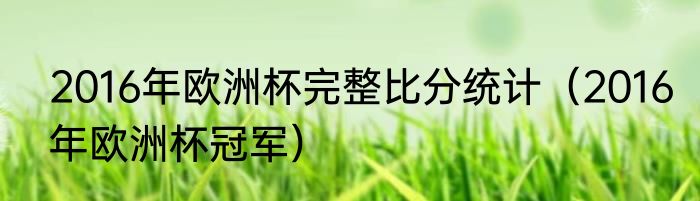 2016年欧洲杯完整比分统计（2016年欧洲杯冠军）