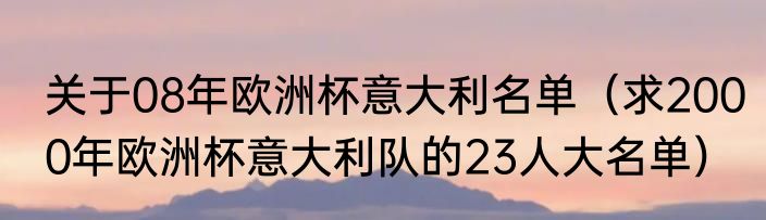 关于08年欧洲杯意大利名单（求2000年欧洲杯意大利队的23人大名单）