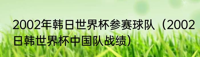 2002年韩日世界杯参赛球队（2002日韩世界杯中国队战绩）