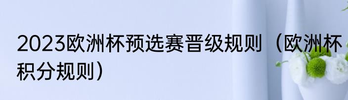 2023欧洲杯预选赛晋级规则（欧洲杯积分规则）