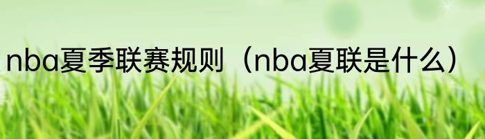 nba夏季联赛规则（nba夏联是什么）