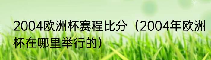 2004欧洲杯赛程比分（2004年欧洲杯在哪里举行的）