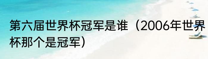 第六届世界杯冠军是谁（2006年世界杯那个是冠军）