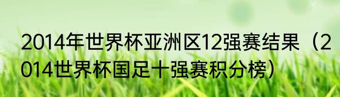 2014年世界杯亚洲区12强赛结果（2014世界杯国足十强赛积分榜）
