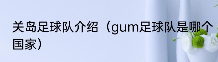 关岛足球队介绍（gum足球队是哪个国家）