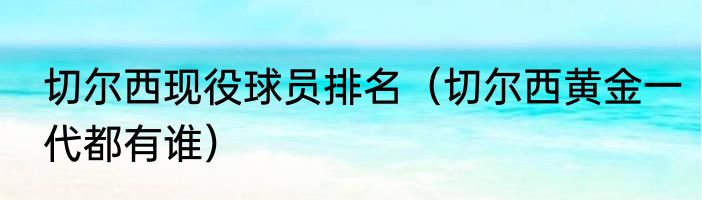 切尔西现役球员排名（切尔西黄金一代都有谁）
