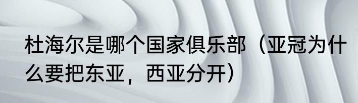 杜海尔是哪个国家俱乐部（亚冠为什么要把东亚，西亚分开）
