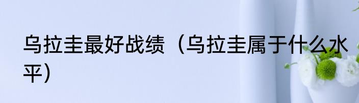 乌拉圭最好战绩（乌拉圭属于什么水平）