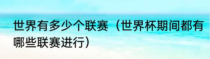 世界有多少个联赛（世界杯期间都有哪些联赛进行）