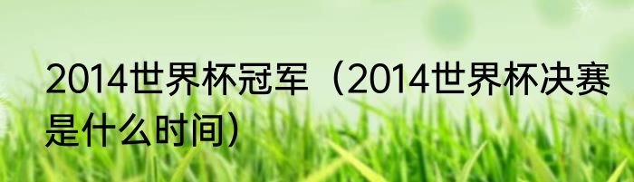 2014世界杯冠军（2014世界杯决赛是什么时间）