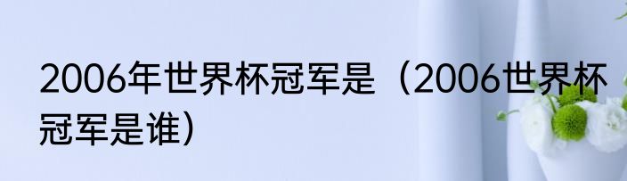 2006年世界杯冠军是（2006世界杯冠军是谁）