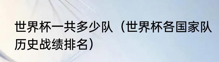 世界杯一共多少队（世界杯各国家队历史战绩排名）