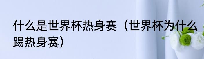 什么是世界杯热身赛（世界杯为什么踢热身赛）