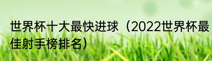 世界杯十大最快进球（2022世界杯最佳射手榜排名）