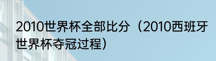 2010世界杯全部比分（2010西班牙世界杯夺冠过程）