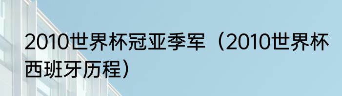 南非世界杯冠军是（南非世界杯冠军）