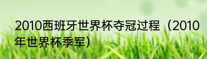 2010西班牙世界杯夺冠过程（2010年世界杯季军）