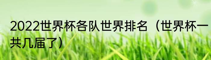 2022世界杯各队世界排名（世界杯一共几届了）
