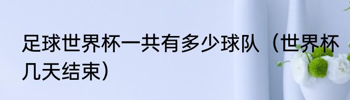足球世界杯一共有多少球队（世界杯几天结束）