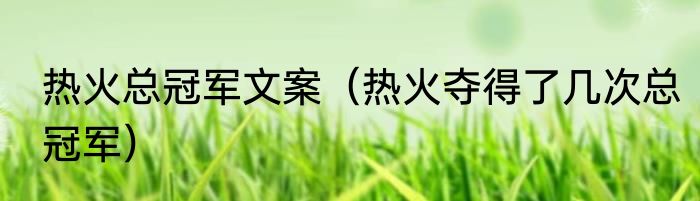 热火总冠军文案（热火夺得了几次总冠军）
