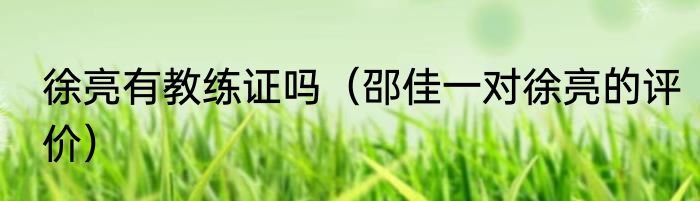 徐亮有教练证吗（邵佳一对徐亮的评价）