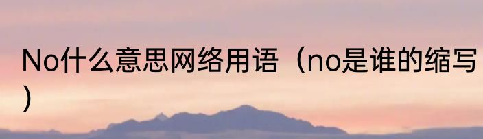 No什么意思网络用语（no是谁的缩写）