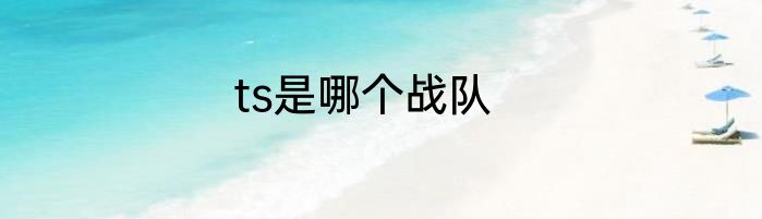 ts是哪个战队