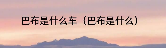 巴布是什么车（巴布是什么）