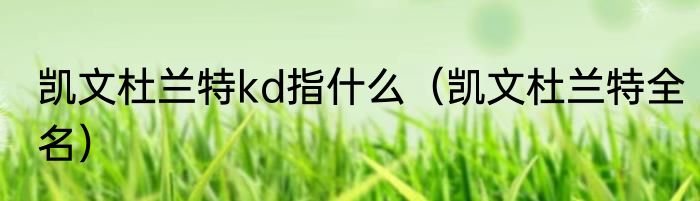 凯文杜兰特kd指什么（凯文杜兰特全名）