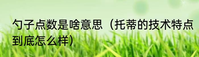 勺子点数是啥意思（托蒂的技术特点到底怎么样）