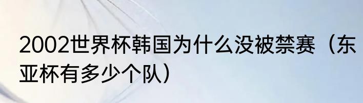2002世界杯韩国为什么没被禁赛（东亚杯有多少个队）