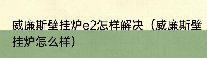 威廉斯壁挂炉e2怎样解决（威廉斯壁挂炉怎么样）