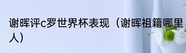 谢晖评c罗世界杯表现（谢晖祖籍哪里人）