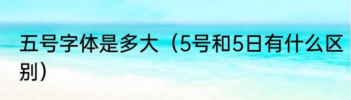 五号字体是多大（5号和5日有什么区别）
