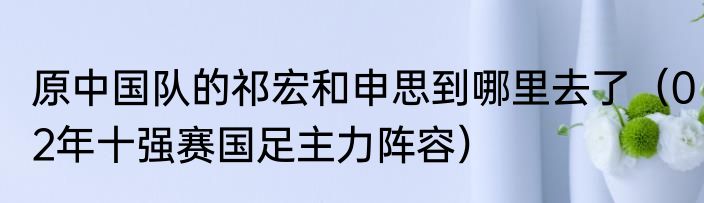 原中国队的祁宏和申思到哪里去了（02年十强赛国足主力阵容）