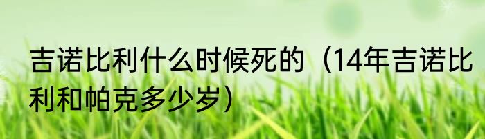 吉诺比利什么时候死的（14年吉诺比利和帕克多少岁）