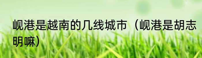 岘港是越南的几线城市（岘港是胡志明嘛）