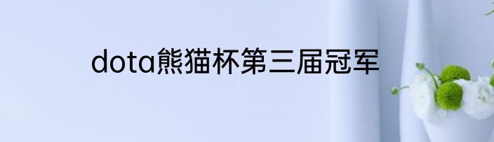 dota熊猫杯第三届冠军