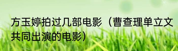 方玉婷拍过几部电影（曹查理单立文共同出演的电影）