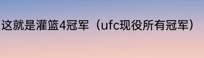这就是灌篮4冠军（ufc现役所有冠军）