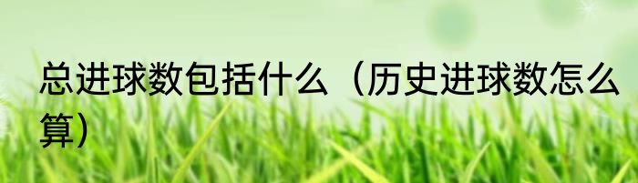 总进球数包括什么（历史进球数怎么算）