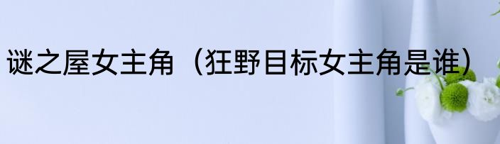谜之屋女主角（狂野目标女主角是谁）
