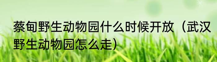 蔡甸野生动物园什么时候开放（武汉野生动物园怎么走）