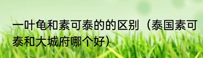 一叶龟和素可泰的的区别（泰国素可泰和大城府哪个好）