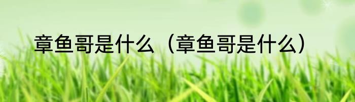 章鱼哥是什么（章鱼哥是什么）