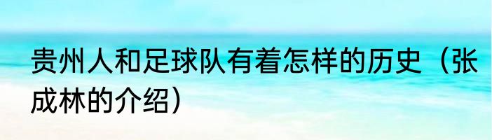 贵州人和足球队有着怎样的历史（张成林的介绍）