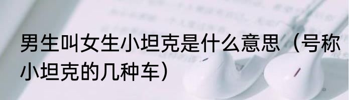 男生叫女生小坦克是什么意思（号称小坦克的几种车）